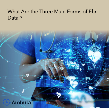 What Are the Three Main Forms of Ehr Data