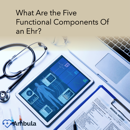 What Are the Five Functional Components Of an Ehr